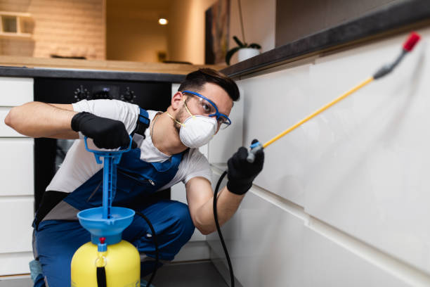 Best Pest Inspection Near Me  in Sayreville, NJ