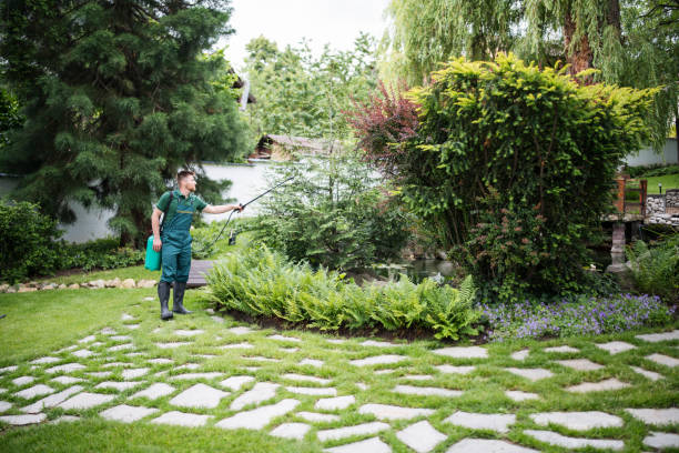 Best Local Pest Control Services  in Sayreville, NJ