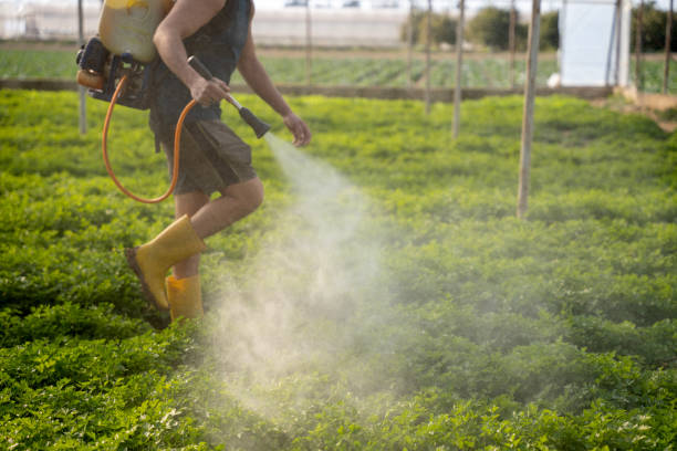 Best Affordable Pest Control Services  in Sayreville, NJ