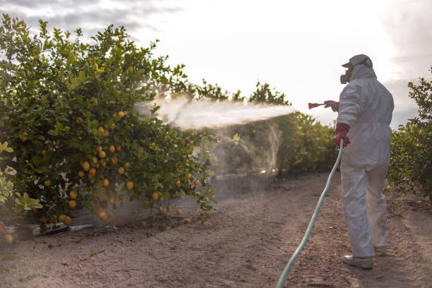 Best Pest Prevention Services  in Sayreville, NJ